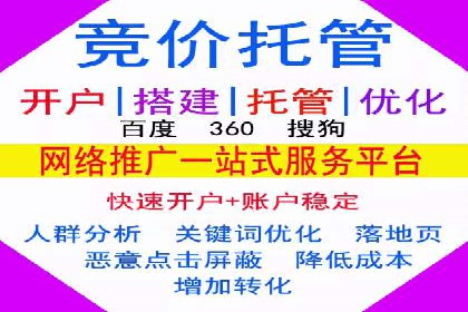 SEM专员案例：数据分析与优化